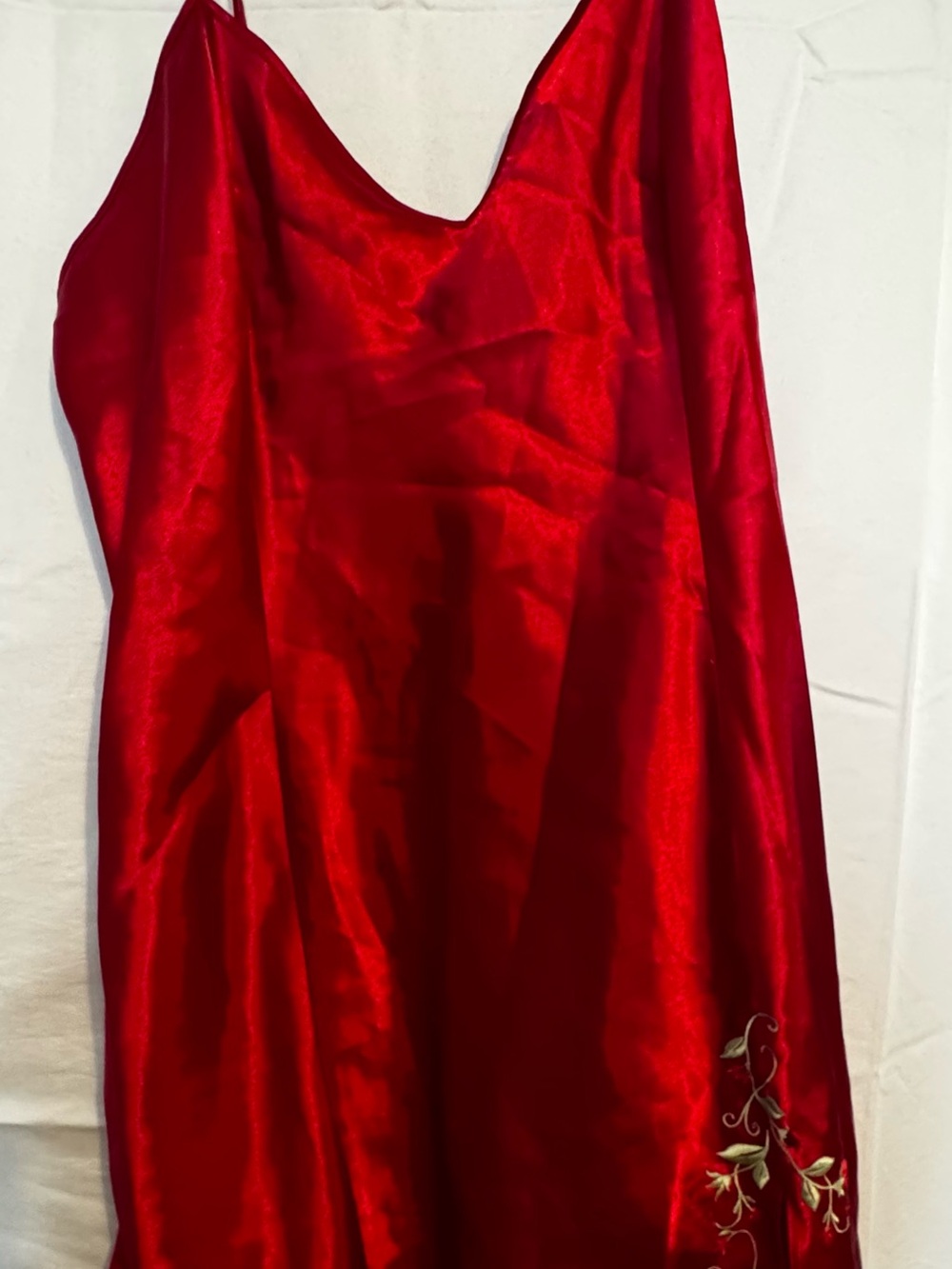 Delicates Red Satin Lined Garment
